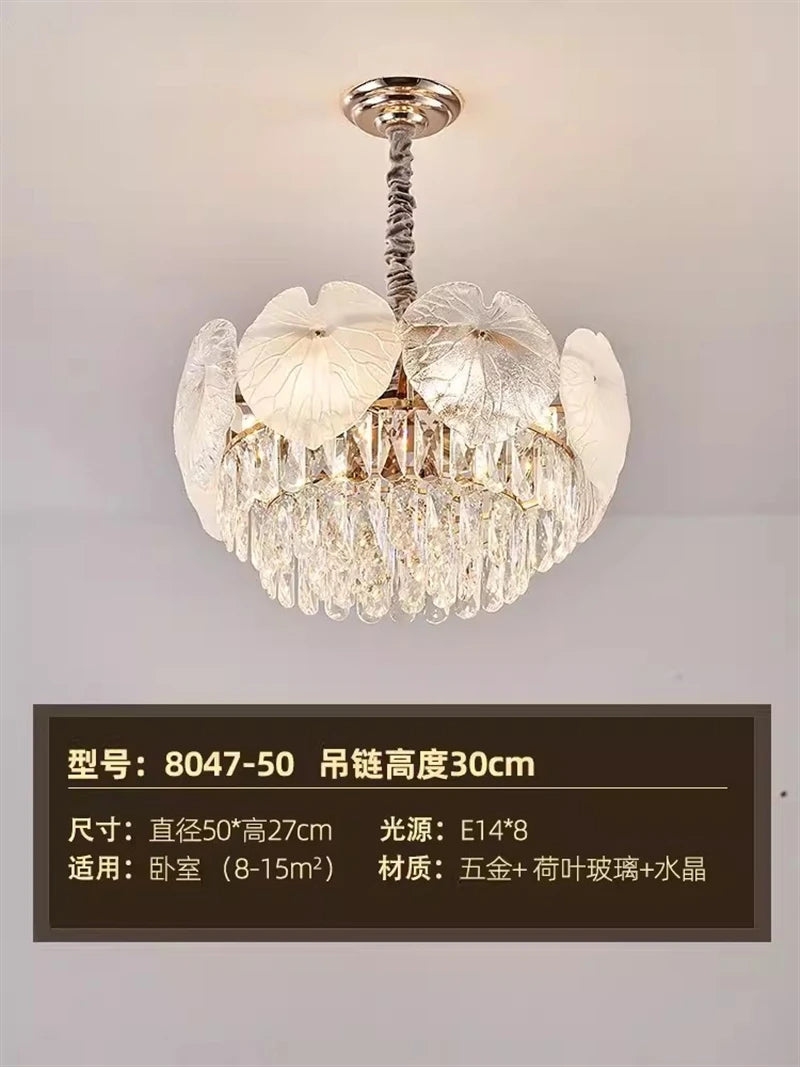 xxxx New collectiobn