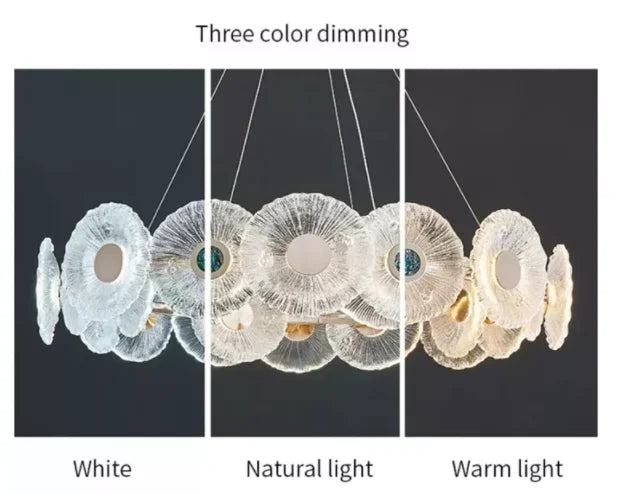Morandi Circular Chandelier xxxx